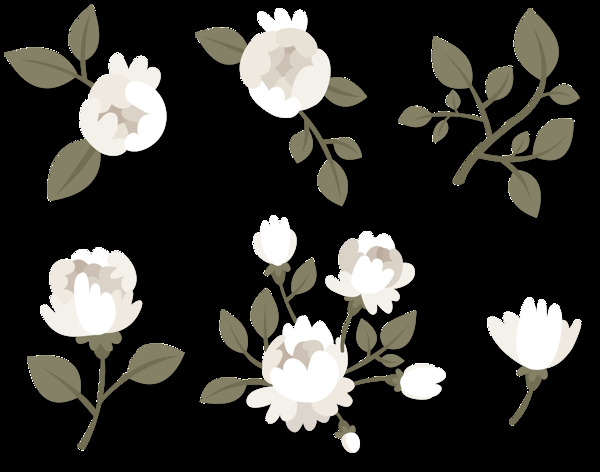 白色玫瑰花插画免抠png透明图层素材