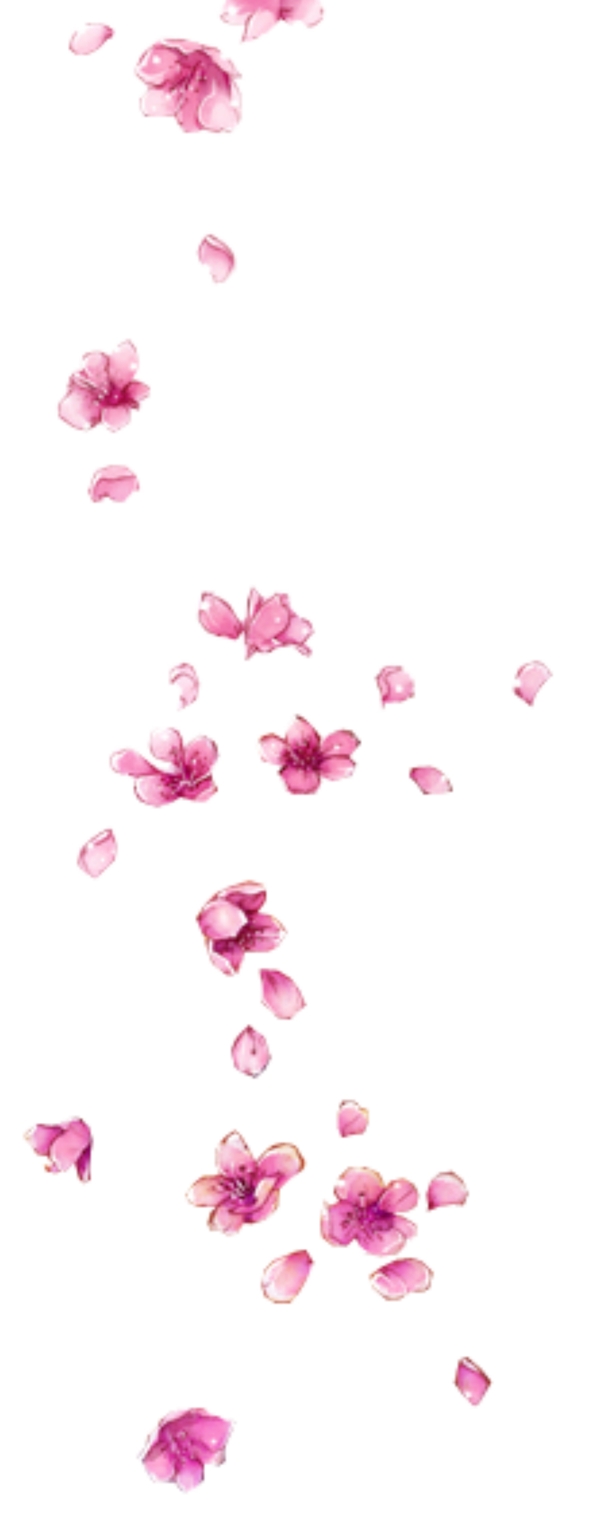 粉色花瓣漂浮元素