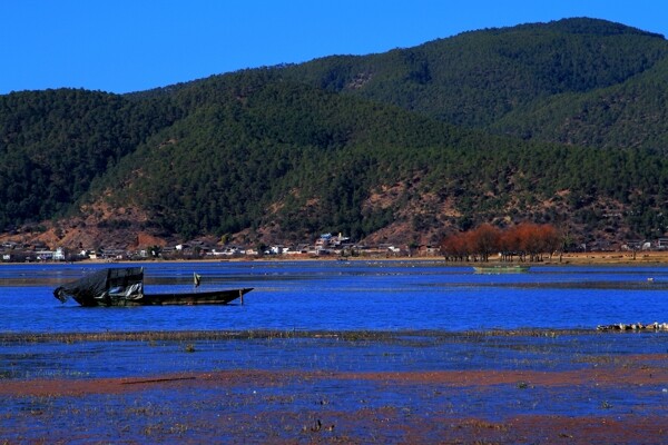 丽江拉市海景图片