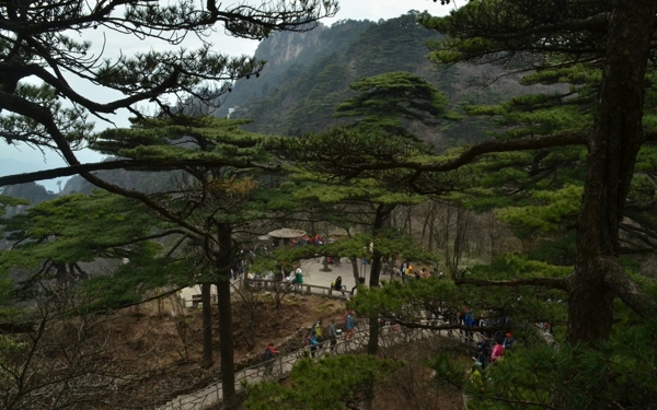 黄山风光图片