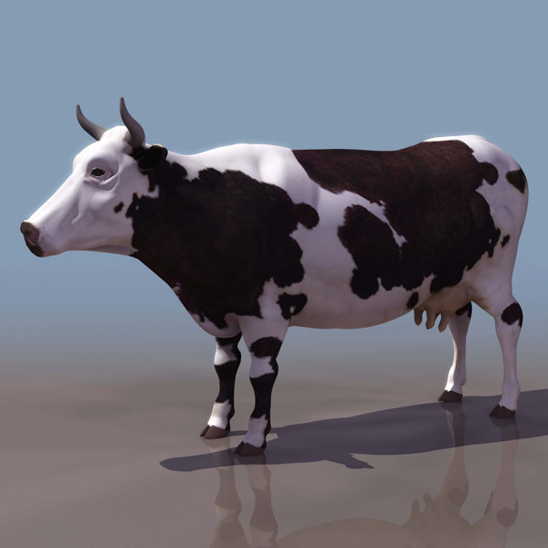 COW牛模型01