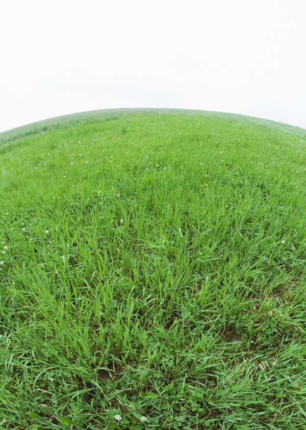 地球形状的草地背景图片图片