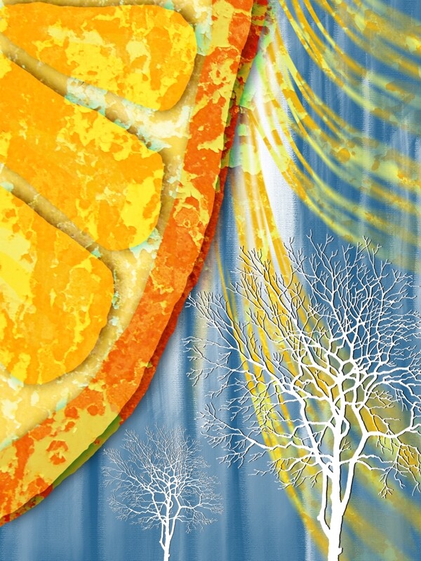 现代简约橘色水果橙子客厅装饰画