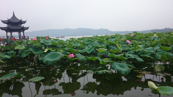 西湖图片