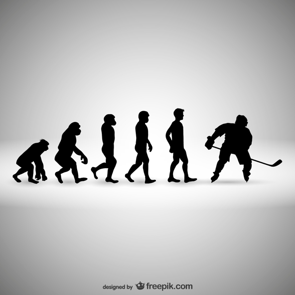 曲棍球人类进化