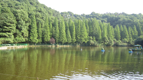 泸州市忠山公园图片