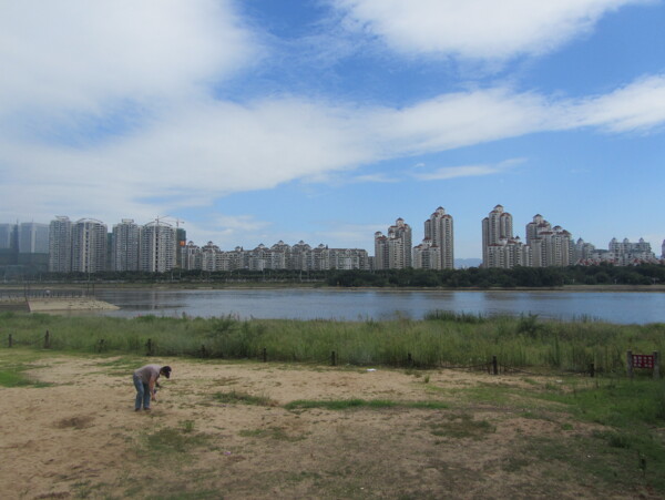 南江滨公园沙滩美景图片