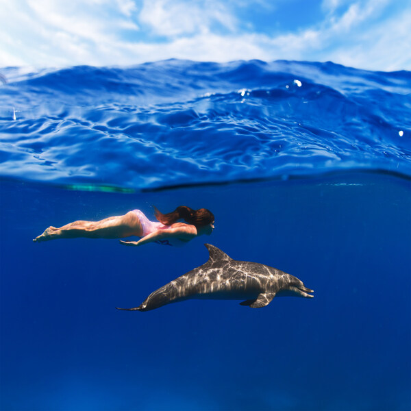 美丽海底世界与海豚图片