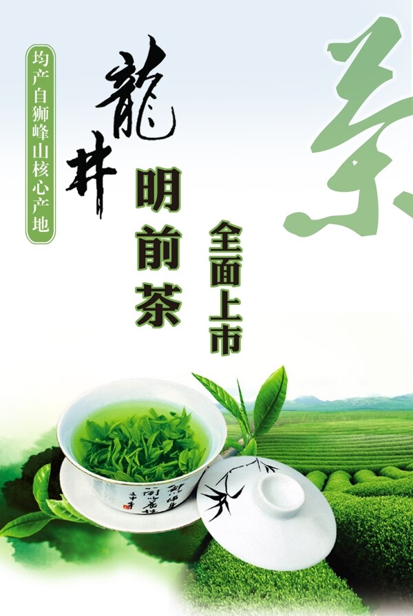 茶龙井明前茶图片