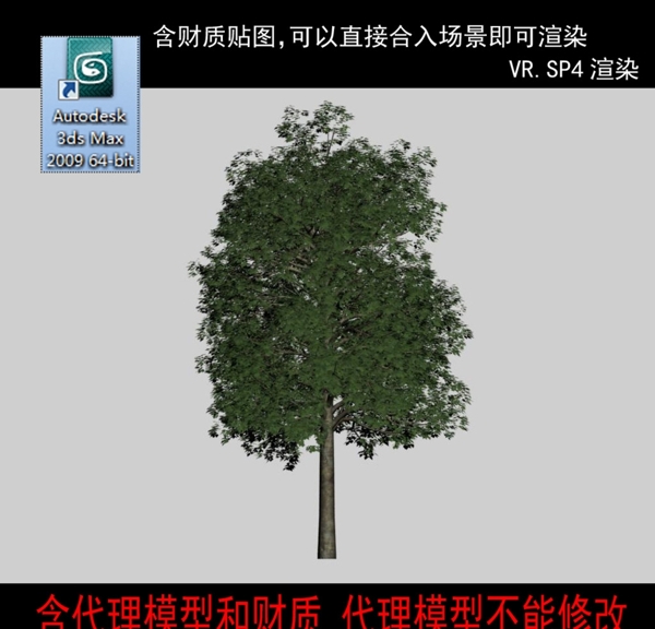 树模型