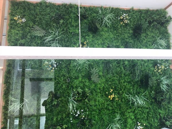 立体多样化仿真植物墙