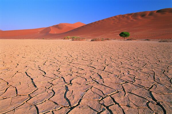 沙漠沙丘沙子金沙流沙大自然干旱气候炎热干燥环境广告素材大辞典