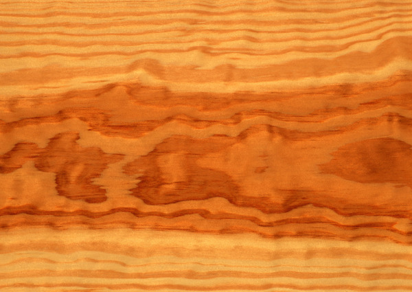 橙色斑点木纹