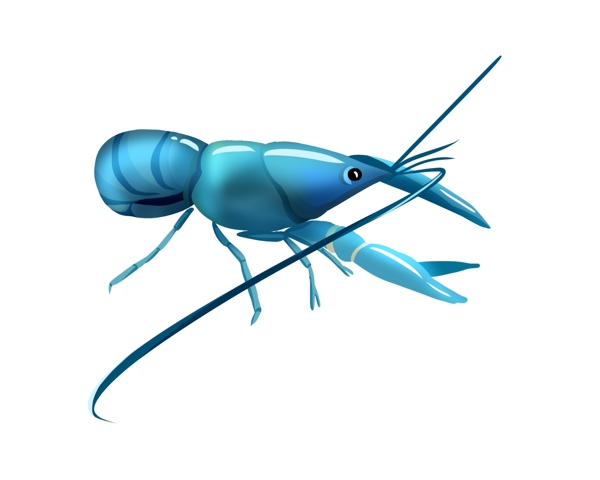 蓝色的可爱龙虾插画