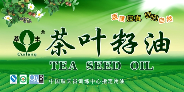 茶叶籽油广告宣传图片