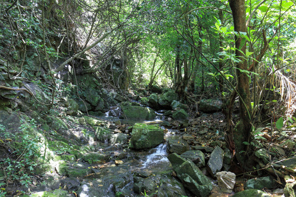 深圳园山风景区