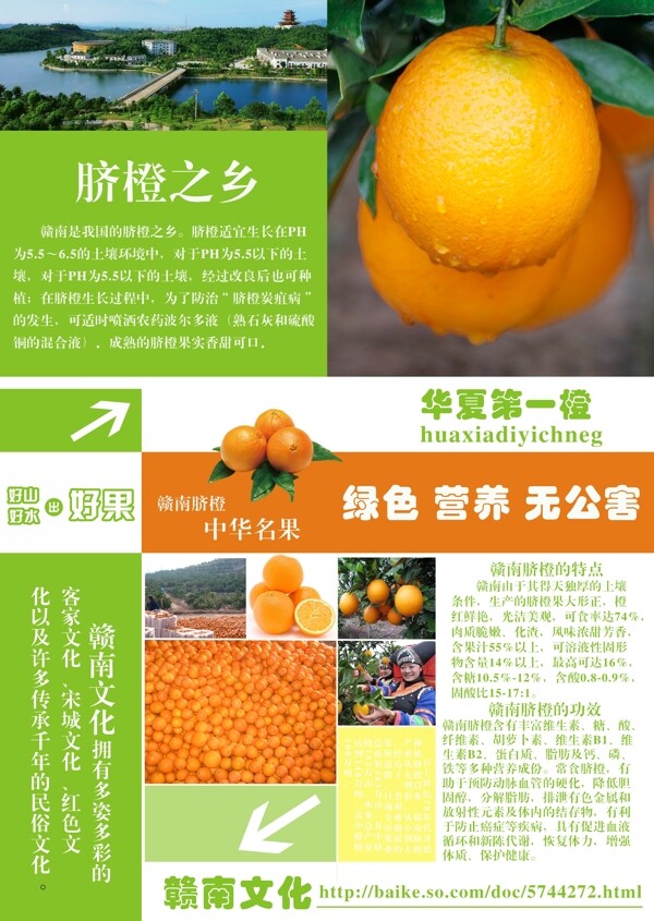 水果赣南脐橙宣传单海报排版设计