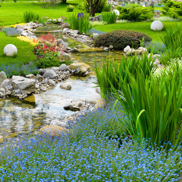 小溪鲜花风景图片