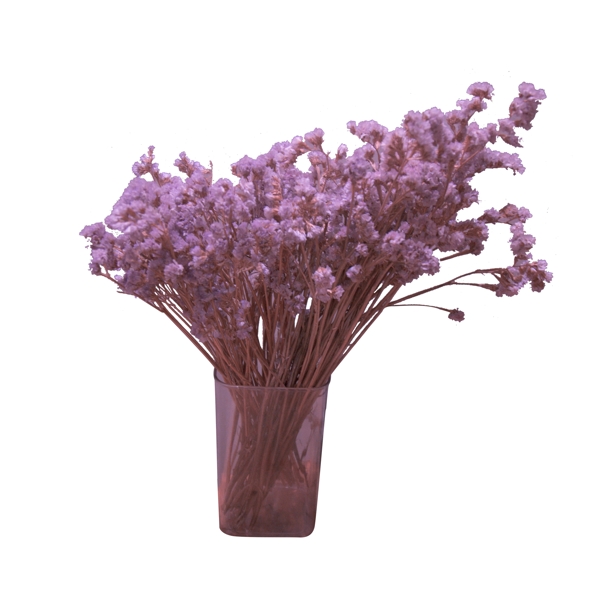 彩色植物花瓶元素
