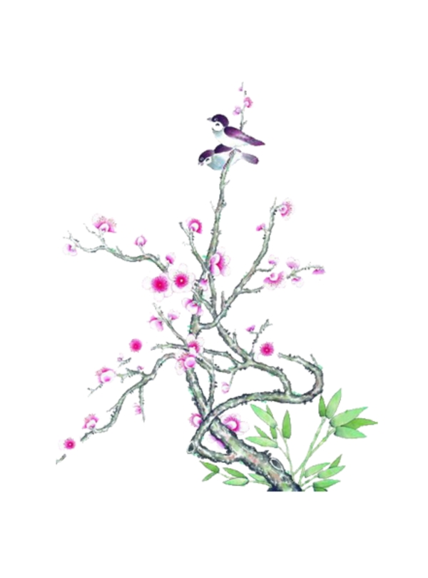 桃花树上的小鸟素材