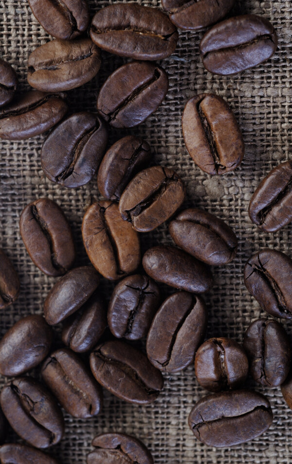 咖啡豆原料摄影图片