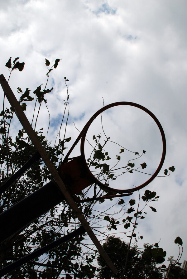 艺术风景篮球框图片