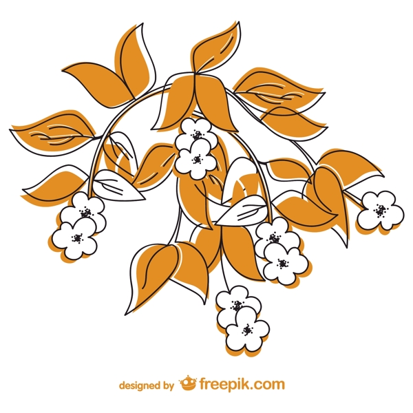带着橘叶的白色花朵