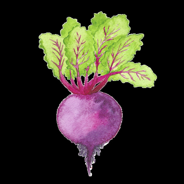 紫色手绘萝卜卡通蔬菜厨房透明素材