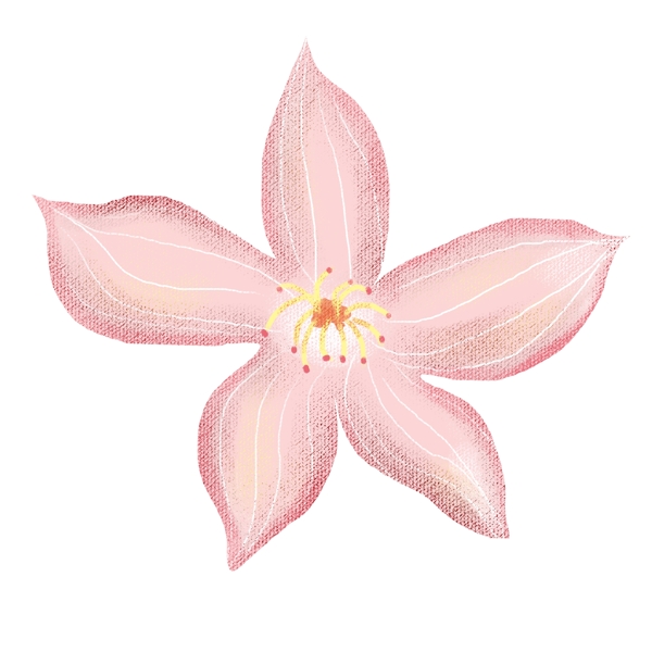 粉色可爱樱花PNG图片