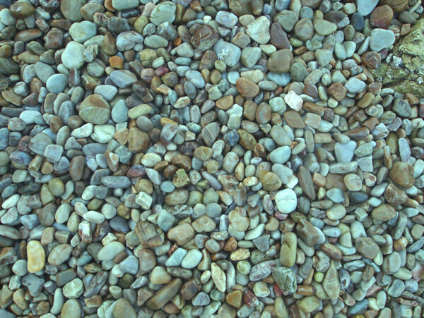 海石子图片