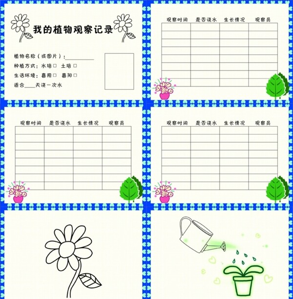 儿童课后植物观察日记图片