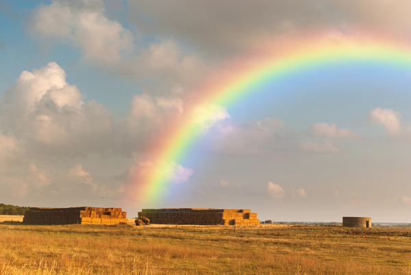 牧场草原彩虹风景