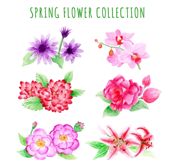6款彩绘春季花卉矢量素材