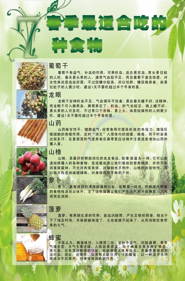 春季最适合使用的7种食物图片