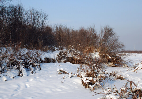 根河冬天野外雪景图片