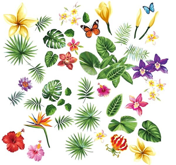 热带树叶花图片