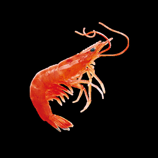 红色海鲜小龙虾元素