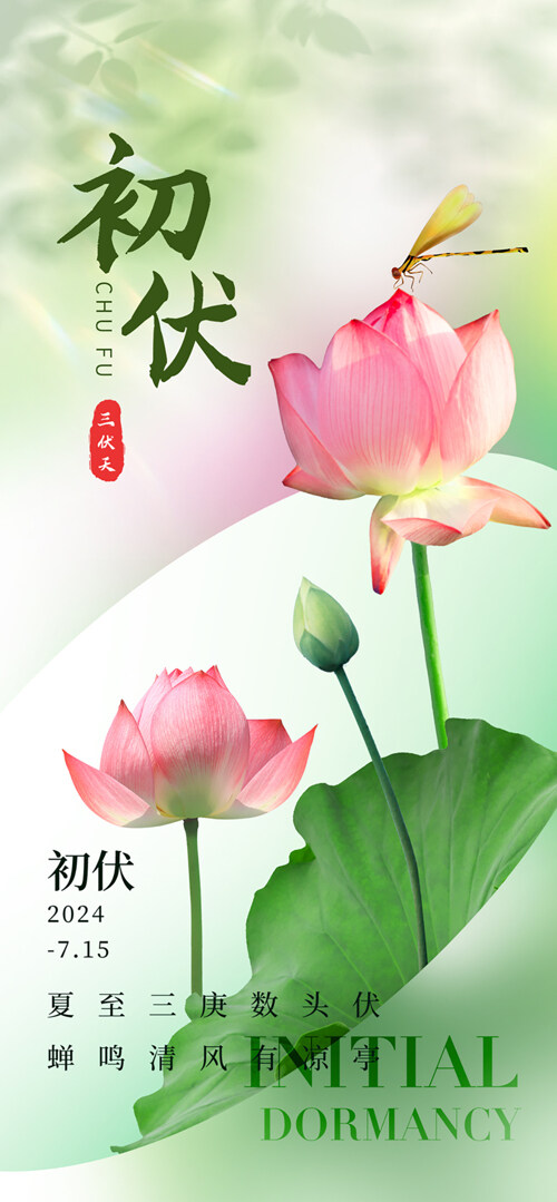 清风蝉鸣三伏天初伏节气简约意境海报