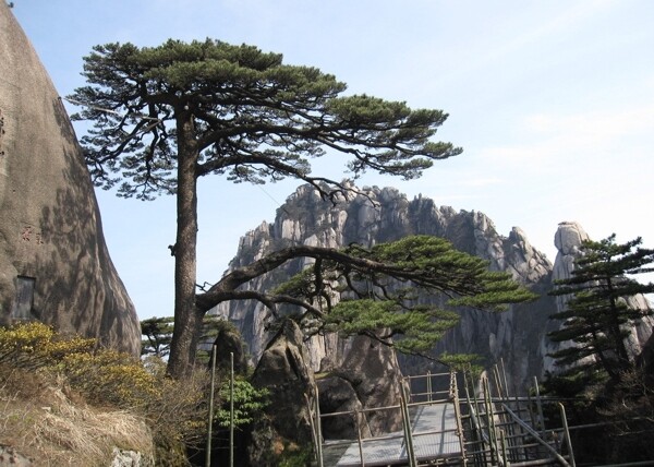 黄山风景图片