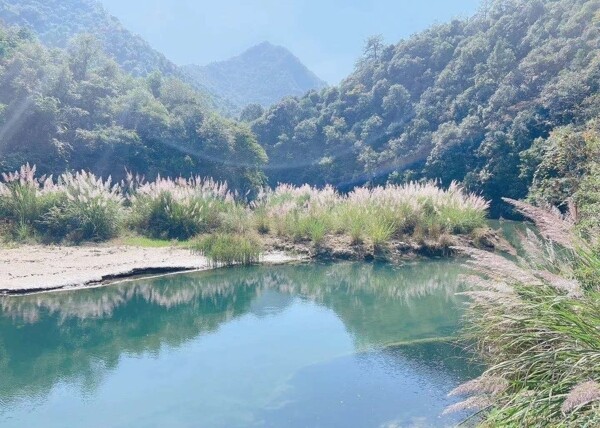 森林山水图片