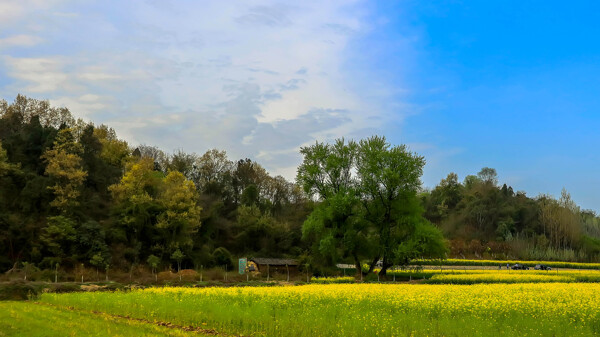 美丽的乡村风景