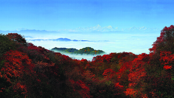 峨眉山秋色图片