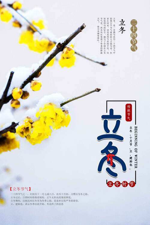 立冬节气黄色腊梅插画简约大气海报