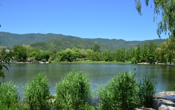 植物园风景