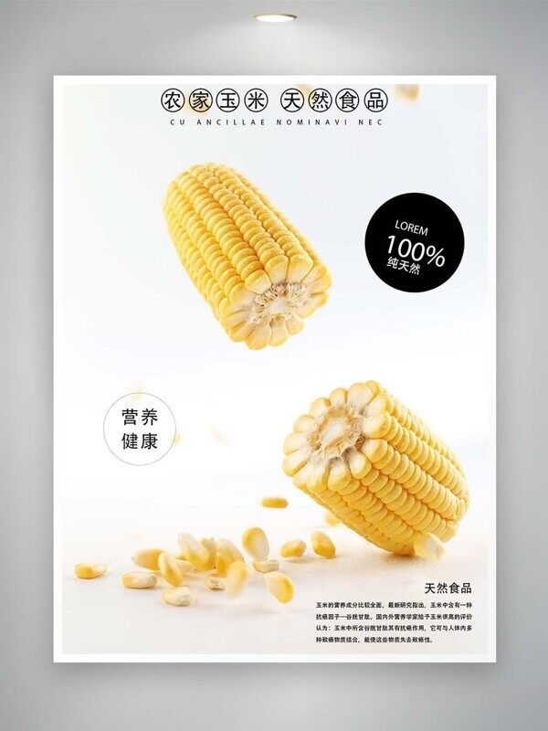 农家玉米纯天然食品营养健康减脂美食推荐
