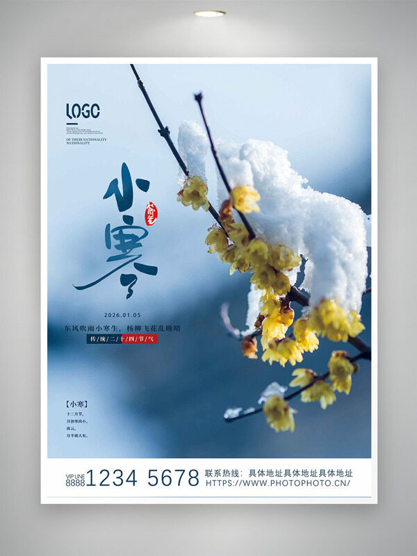 黄色腊梅小寒节气简约风格海报