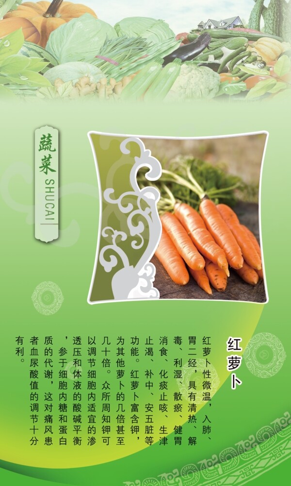 蔬菜红萝卜广告模板展板图片
