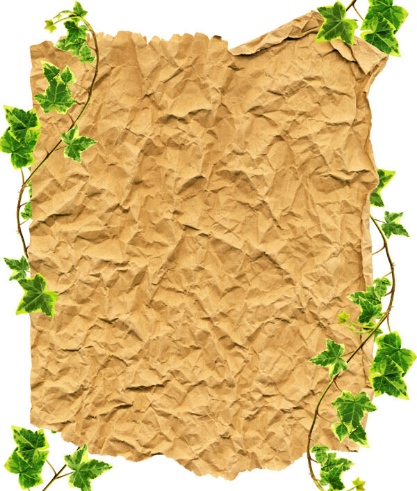 裁剪路径弄皱的纸和边境的绿色常春藤在白色的背景