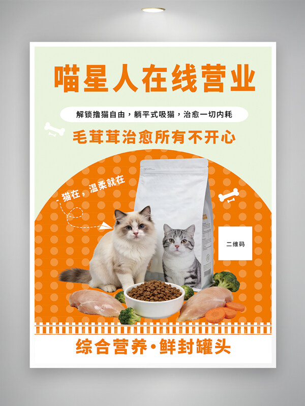 宠物特写治愈可爱猫咪猫粮促销海报
