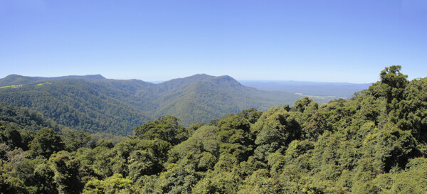 森林山峦风景图